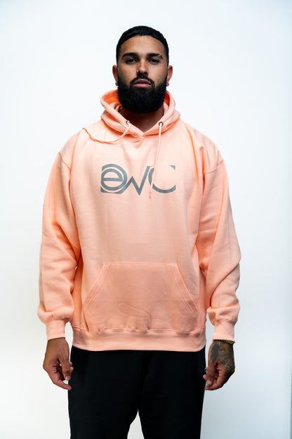 EVO HOODIE = 50🎟️‼️